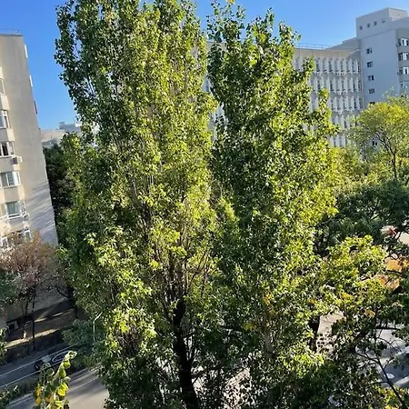 Mav * Бухарест