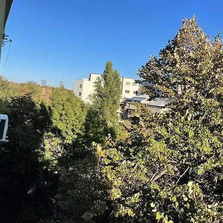 Mav 부쿠레슈티